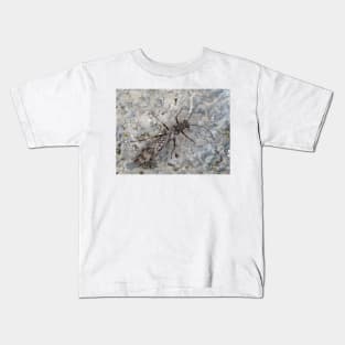 Stonefly - Zapada cinctipes or similar species Kids T-Shirt